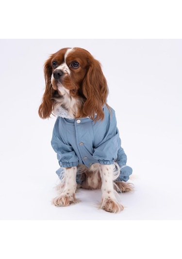Pettrend Gri Kürklü Tulum Küçük Irk Köpek Yağmurluğu