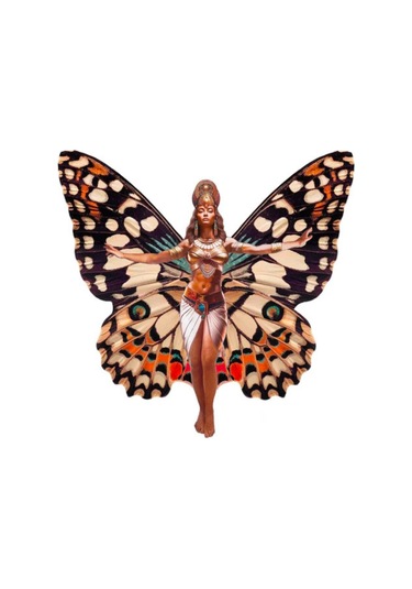 AgaKulche Kelebek Kadın 2024 Gümüş Sikke Coin