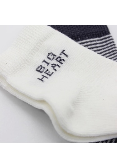 Bistyle Big Heart Penye Soket Çorap 2'li Bs10117 Antrasit Antrasit