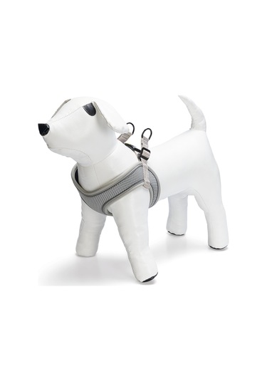 Beeztees Köpek Göğüs Tasması, Neopren, Gri, Xs, 30-35cm Çok Renkli