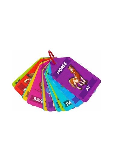 Flash Kartlar Hayvanlar