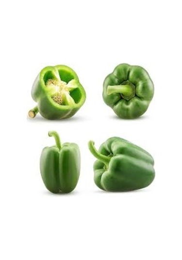 200 Adet Tohum Acı Yeşil Dolmalık Köy Biberi Tohumu Organik Bahçe