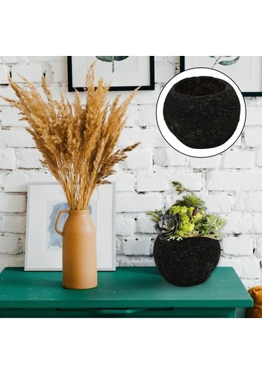 Pazly Uzay Suntek Soyut Saksı Reçine Göktaşı Etli Uw