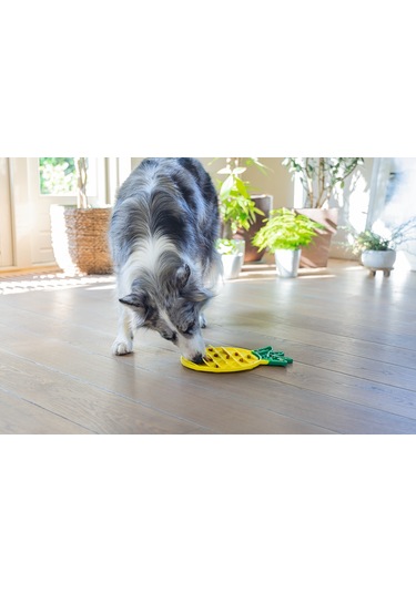 Beeztees Yavru Köpek Yaş Mama Yeme Oyuncağı, Ananas Şeklinde,silikon, Sarı, 20x20cm