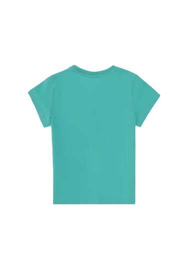 U.s. Polo Assn. Erkek Çocuk Mint Tişört Basic 50306548-vr090 Mint