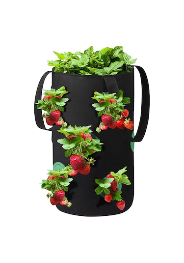 Suofeng Çok Ağızlı Çilek Dikim Çantası - 3 Galon, 12 Delikli, Dayanıklı Kumaş, Ev Kullanımı İçin İdeal