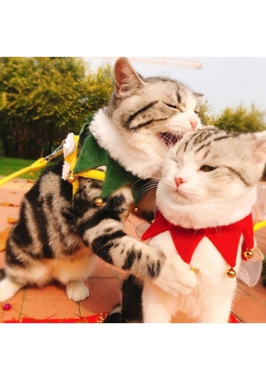 Elmpaly Koyu Yeşil S Küçük Ve Büyük Köpek Ve Kedi İçin El Yapımı Polar Kaplama Yün Atkı