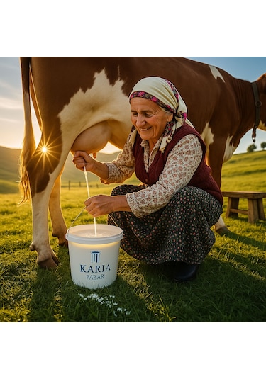 Yöresel Birecik Tam Yağlı İnek Sütünden Doğal Katkısız Taze Köy Peyniri 5 KG