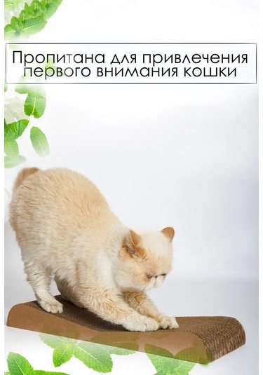 Zver'e Moe Karton Kedi Tırmalama Tahtası Dune 451638792