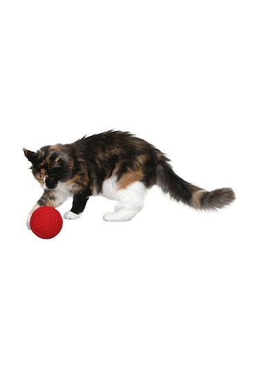Kör Kediler İçin Çıngıraklı Kırmızı 10 CM Yumak Kedi Oyuncağı