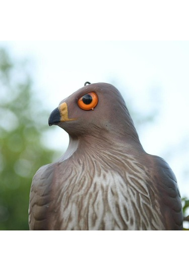 Homyl Kartal Heykeli Plastik Raf Kitaplık Masaüstü Heykelcik Orta