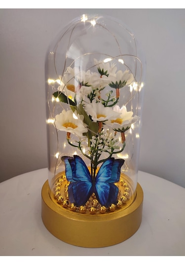 Işıklı Papatya Buket Fanus