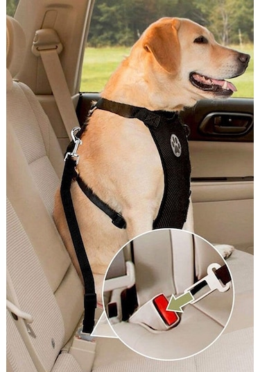 4 Adet Kedi Köpek İçin Araba Emniyet Kemer Tokası