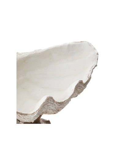 Mudo Home Shell Dekoratif Kase Beyaz 45x25x23 Cm