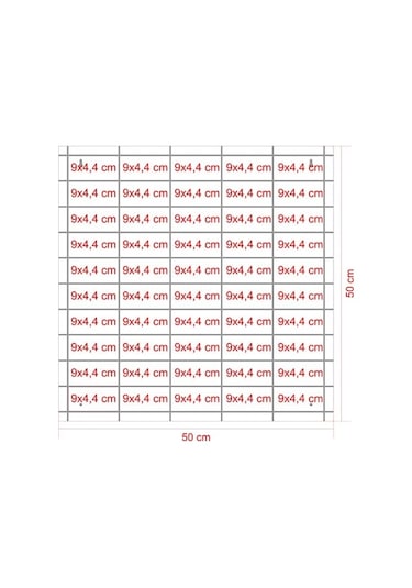 Ceviz Şeffaf Kapaklı Ahşap Hobi Araba Rafı