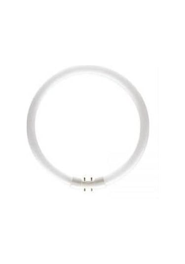 Osram Fc T5 22W/840 Simit Floresan Ampul