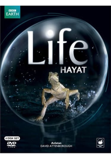Dvd-Hayat / Life 4 Dvd