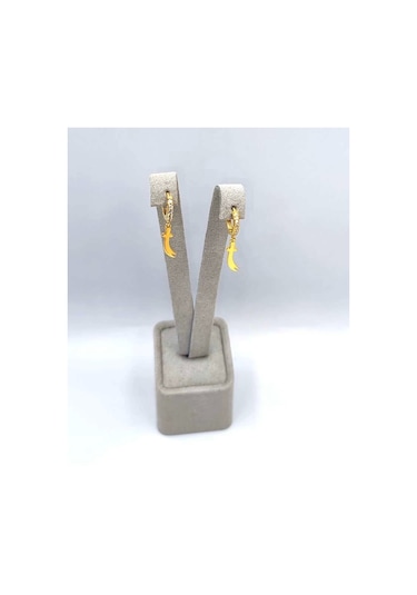 Zülfikar Taşlı Gümüş Küpe - Altın Altın