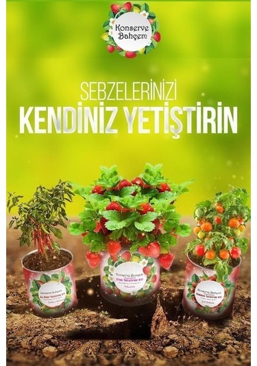 Buffer Konserve Bahçem Evde Konservede Sultani Bamya Yetiştirme Kiti Mavi