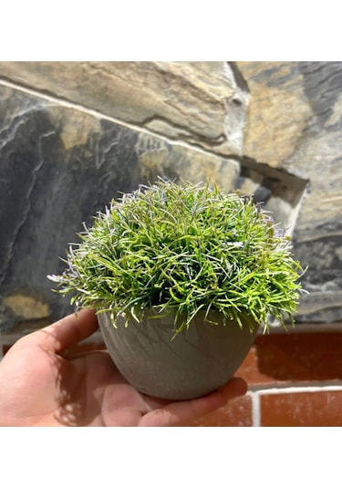 Loft Serisi Dekoratif Gri Saksılı Bodur Çim 13 Cm X 17 Cm Yeşil