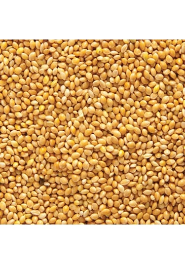 Ak Darı Muhabbet Yemı Paket 400 Gr