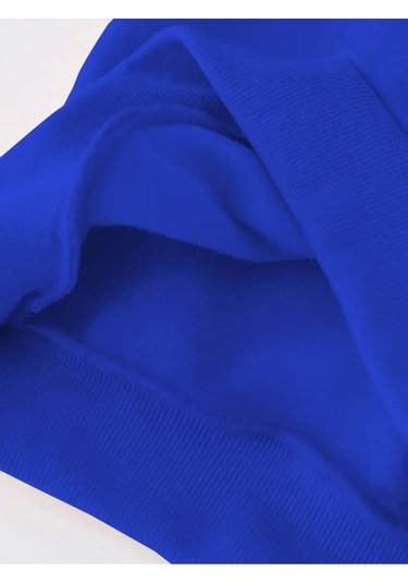 Kışlık Kapüşonlu Sweatshirt, Çocuk Kediciklerbaskılı Mavi