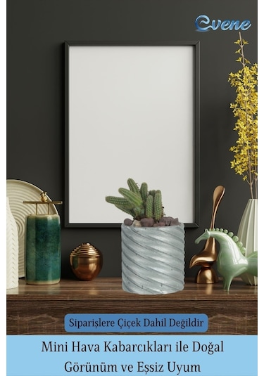 Saksı Kaktüs Saksısı Dekoratif Saksı Model 4 - Gümüş
