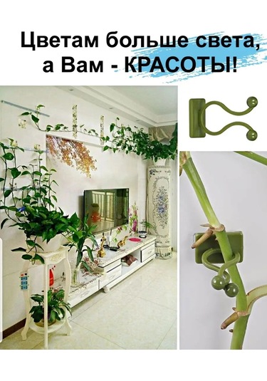 Greduha Bitkiler İçin Duvar Tipi Destek Klipsi, 10 Adet 169153203