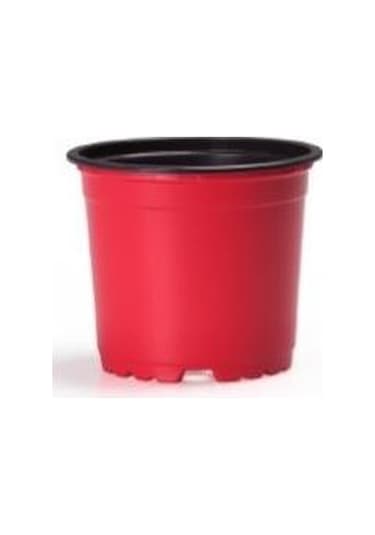 50 Adet Renkli Saksı Vakum Saksı Üretim Saksısı Ucuz Saksı