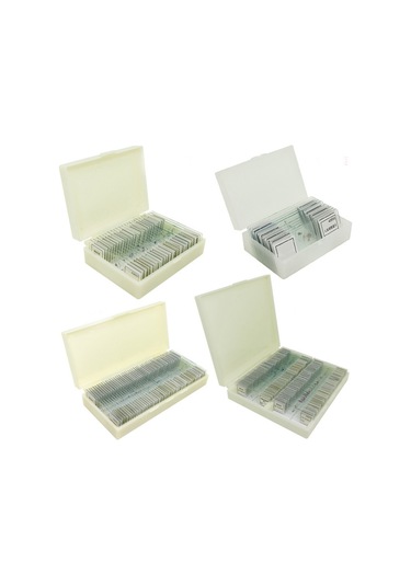 Mikroskop Slayt Preparat Seti 30'Lu Zooloji