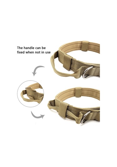 Geeroyoo Dayanıklı Nylon Askeri Köpek Tasması, Hızlı Açma Tokalı, Yeşil L Boy Yeşil