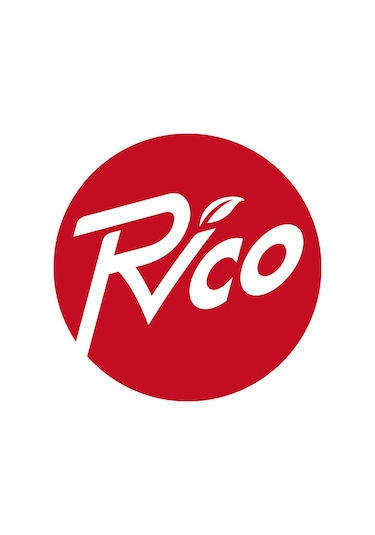 Rico 005-KK1163 Kaplamalı Mıknatıslı Torx Bits Uç Matkap Ucu T50 75 Mm