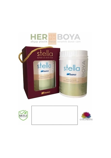 Bianca Stella Boya Seti Boya + Kadife Rulo + İpek Fırça + Boya Kabı