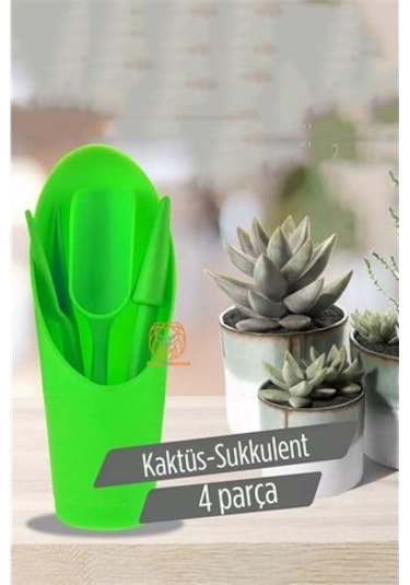 Modacar Kaktüs Sukkulent Dikim Seti