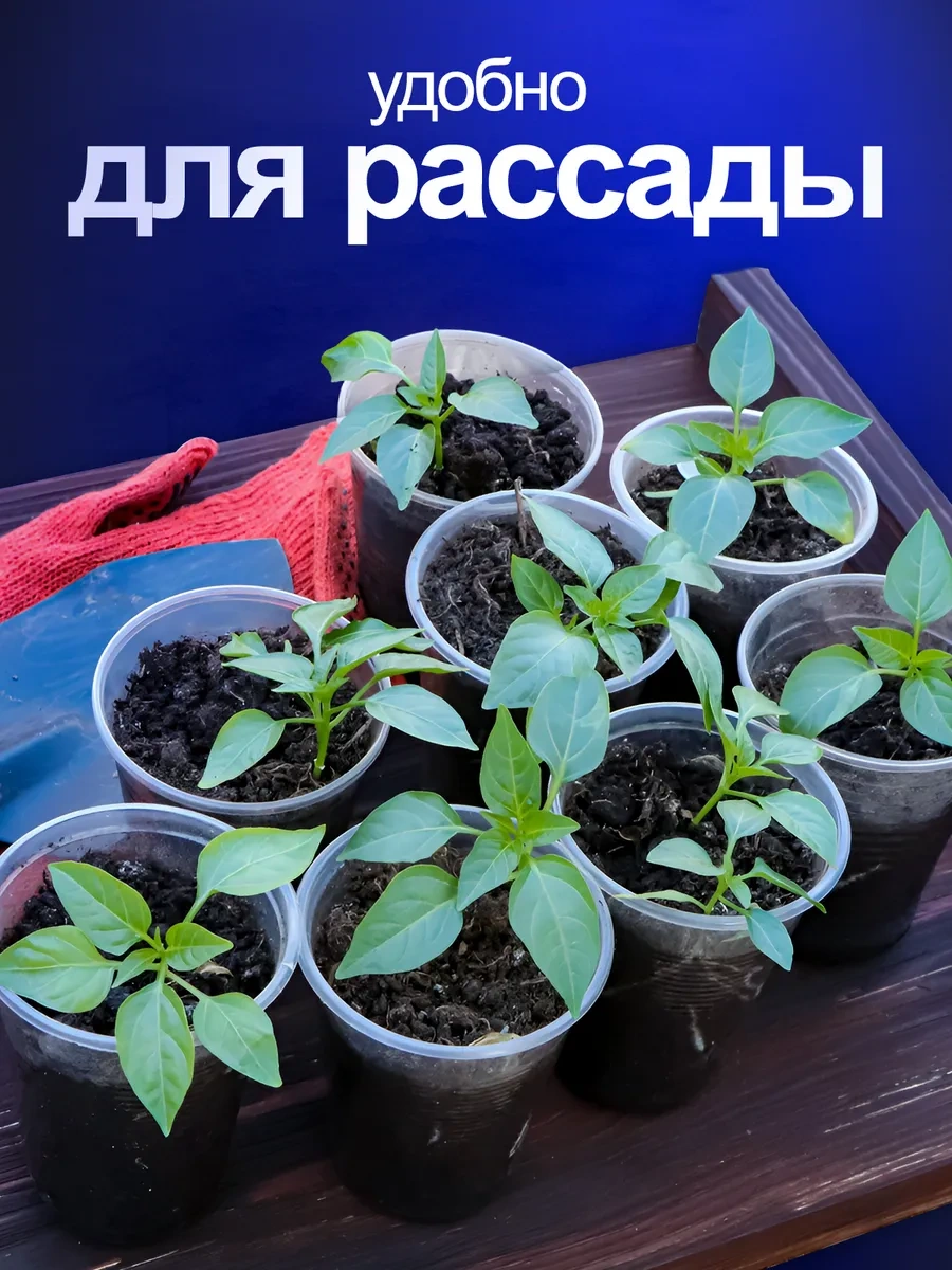 Torgovyj Dom "kupec" Şeffaf Tek Kullanımlık Bardaklar 200 Ml 315709251 Beyaz