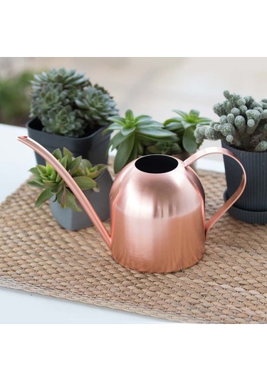 Monyee Gül Altın Rengli Çelik Sulama Kettle, 500ml, Dış Cepheli, Bitki Bakımı İçin Uygun, Dayanıklı Ve Pratik