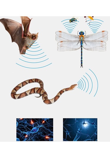 Lichen Ultrasonik Yüksek Güçlü Sivrisinek Kovucu Kemirgen Kovucu