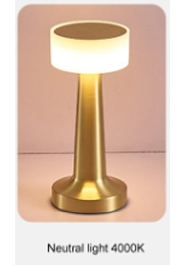 Taşınabilir Şarjlı Masa Lambası Dimmerli Dekoratif Denver Abajur