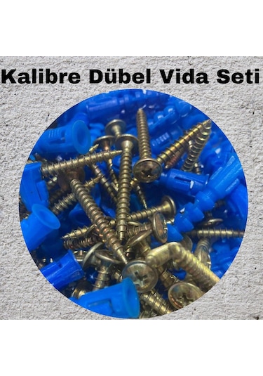 Kalibreli Dübel Ve Vida Seti 100 Adet Pul Başlı, 8mm Dübel 8 MM