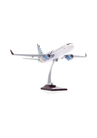 Zekupp - Maket Uçak - Boeing 737-800 1/100 - RENKLİ ÖZEL TASARIM Model Uçak