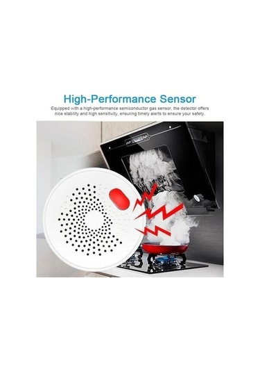 Motion003 Lichen Wi-fi Gaz Alarmı Graffiti App Gaz Dedektörü Plug-in 1 Adet, Güvenli Kullanım İçin 1 Adet