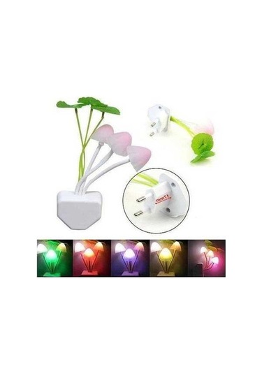 Moly Çiçekli Dekoratif Rgb Sensörlü Gece Lambası Çok Renkli