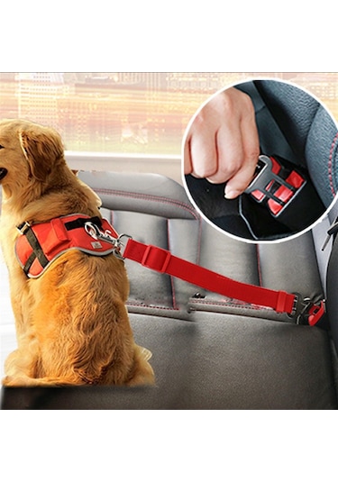 Evcil Hayvan Araç Araba Emniyet Kemeri Kedi Köpek Oto Tasması Koltuk Başlığı