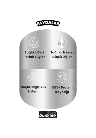 Purelife Plus 24'li Kuzulu Yetişkin Konserve Chunk Parça Etli Yaş Mama 400 G