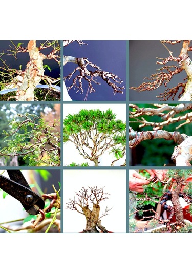 Omeniv 2.00 Mm Çap 5 Metre Bonsai Gövde Dal Şekillendirme Teli