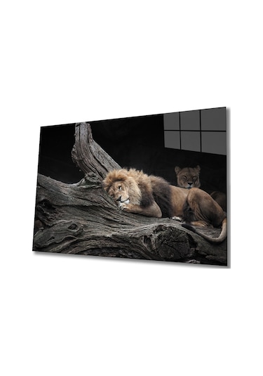 Aslan Cam Tablo