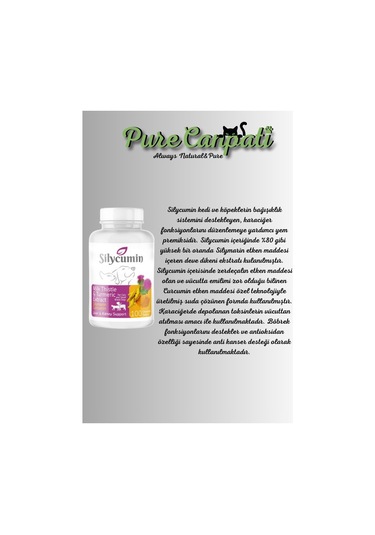 Purecanpati Kedi Destek Vitamin Seti Calming Vitalicat Silycumin