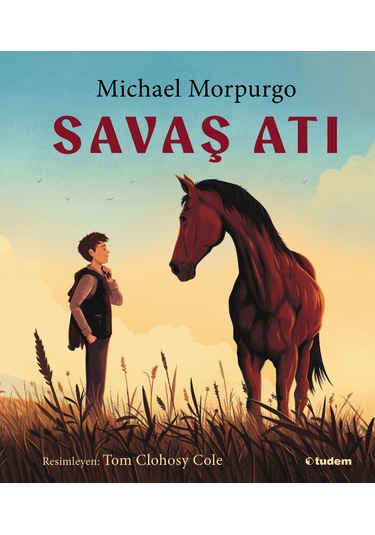 Savaş Atı Resimli Kitap