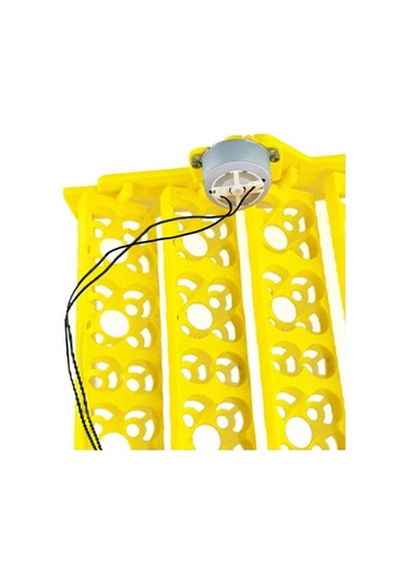 Pazly Yumurta Tavuk Suntek Kuluçka Kaz Için Dc12v Bıldırcın Qz