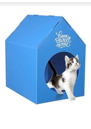 Kedi Evi Kulübesi Yuvası